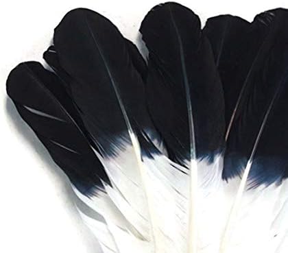 6 חתיכות - שחור הטה חיקוי נשר טורקיה טום סיבובים המשני כנף נוצת נוצות קרפט אספקת | נוצת אור ירח